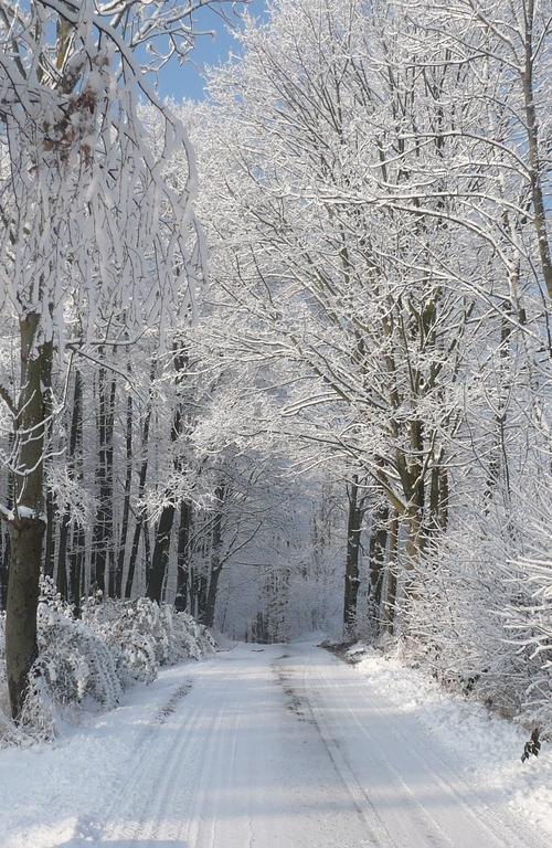 Chaty pod Sokolím Hřbetem Česká Ves Exteriér fotografie