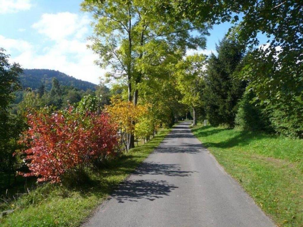 Chaty pod Sokolím Hřbetem Česká Ves Exteriér fotografie